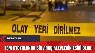 TEM Otoyolunda Bir Araç Alevlerin Esiri Oldu!