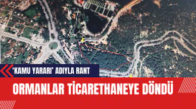 Ormanlar Ticarethaneye Döndü