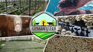 GİRİŞİMCİLERE HİBE DESTEĞİ