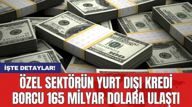 Özel sektörün yurt dışı kredi borcu 165 milyar dolara ulaştı