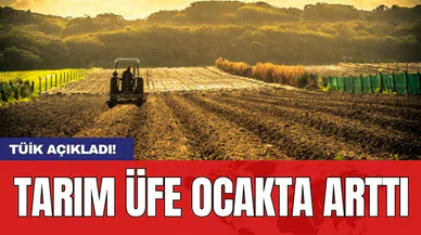 Tarım ÜFE ocakta arttı