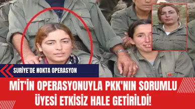 MİT'in Nokta Operasyonuyla Ter*r Örgütü P*K'nın Koordinasyon Üyesi Sakana Etkisiz Hale Getirildi