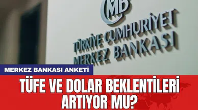 Merkez Bankası anketi: TÜFE ve dolar beklentileri artıyor mu?