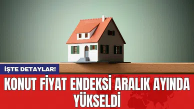 Konut fiyat endeksi aralık ayında yükseldi