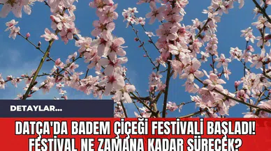 Datça'da Badem Çiçeği Festivali Başladı! Festival Ne Zamana Kadar Sürecek?