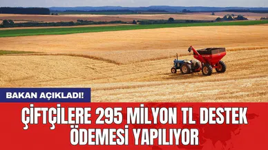 Çiftçilere 295 milyon TL destek ödemesi yapılıyor