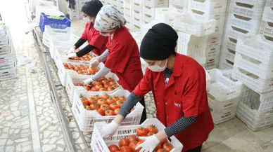 Savaşın etkisi azalıyor!