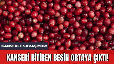 Kanseri Bitiren Besin Ortaya Çıktı! Kanserle Savaşıyor!