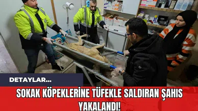 Sokak Köpeklerine Tüfekle Saldıran Şahıs Yakalandı!