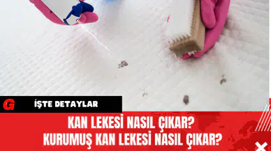Kan Lekesi Nasıl Çıkar? Kurumuş Kan Lekesi Nasıl Çıkar?