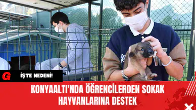 Konyaaltı'nda Öğrencilerden Sokak Hayvanlarına Destek