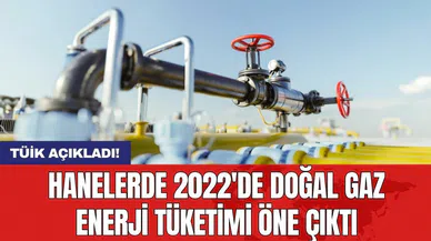 TÜİK açıkladı! Hanelerde 2022'de doğal gaz enerji tüketimi öne çıktı