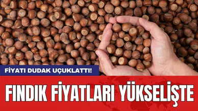 Fındık fiyatları yükselişte