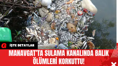Manavgat’ta Sulama Kanalında Balık Ölümleri Korkuttu!