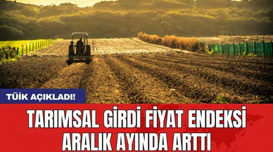 Tarımsal girdi fiyat endeksi Aralık ayında arttı