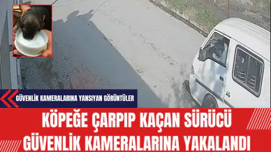 Köpeğe Çarpıp Kaçan Sürücü Güvenlik Kameralarına Yakalandı