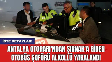 Antalya Otogarı'ndan Şırnak'a giden otobüs şoförü alkollü yakalandı