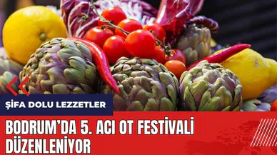 Bodrum'da 5. Acı Ot Festivali düzenleniyor