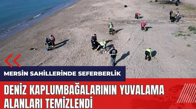 Mersin'de deniz kaplumbağalarının yuvalama alanları temizlendi