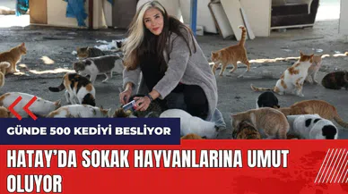 Hatay'da sokak hayvanlarına umut oluyor