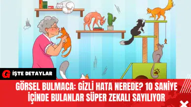 Görsel Bulmaca: Gizli Hata Nerede? 10 Saniye İçinde Bulanlar Süper Zekalı Sayılıyor