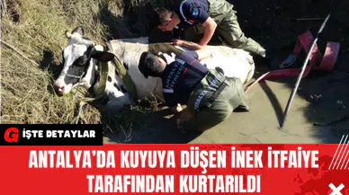 Antalya’da Kuyuya Düşen İnek İtfaiye Tarafından Kurtarıldı
