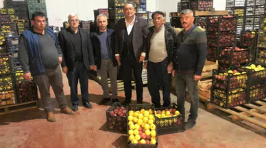 ELMA ÜRETİCİSİ İSYANDA