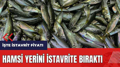 Hamsi yerini istavrite bıraktı! İşte istavrit fiyatı