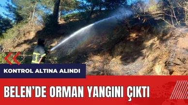 Belen'de orman yangını çıktı