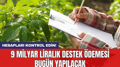 Hesapları kontrol edin! 9 milyar liralık destek ödemesi bugün yapılacak