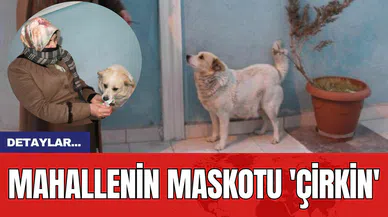 Mahallenin Maskotu 'Çirkin'