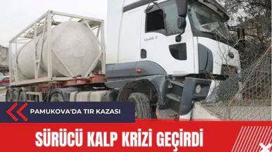 Pamukova'da tır kazası: Sürücü kalp krizi geçirdi