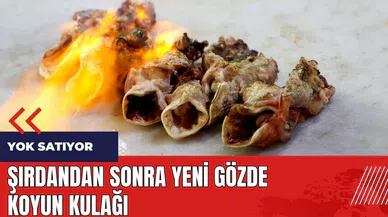 Şırdandan sonra yeni gözde koyun kulağı