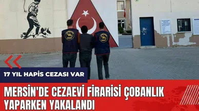 Mersin'de cezaevi firarisi çobanlık yaparken yakalandı