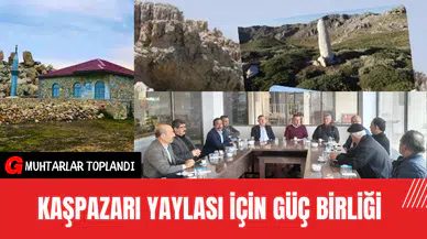 Kaşpazarı Yaylası'na kıymayın!