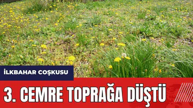 3. cemre toprağa düştü!