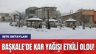 Başkale'de Kar Yağışı Etkili Oldu!