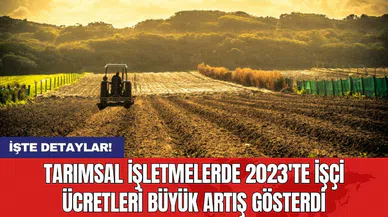 Tarımsal işletmelerde 2023'te işçi ücretleri büyük artış gösterdi