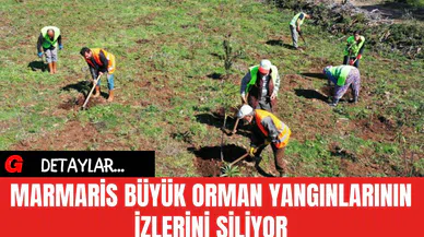 Marmaris Büyük Orman Yangınlarının İzlerini Siliyor