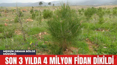 Mersin Orman Bölge Müdürü: Son 3 Yılda 4 Milyon Fidan Dikildi