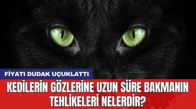 Kedilerin gözlerine uzun süre bakmanın tehlikeleri nelerdir?