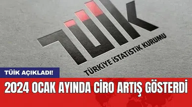 TÜİK açıkladı! 2024 Ocak ayında ciro artış gösterdi