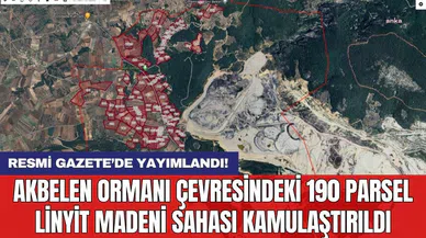 Akbelen Ormanı çevresindeki 190 parsel linyit madeni sahası kamulaştırıldı