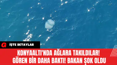 Konyaaltı'nda Ağlara Takıldılar! Gören Bir Daha Baktı! Bakan Şok Oldu