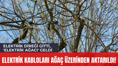Elektrik Kabloları Ağaç Üzerinden Aktarıldı!