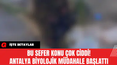 Bu sefer Konu Çok Ciddi! Antalya Biyolojik Müdahale Başlattı