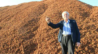 Kömür fiyatları artınca çareyi kabukta buldular