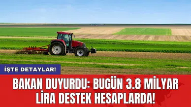 Bakan duyurdu: Bugün 3.8 milyar lira destek hesaplarda!