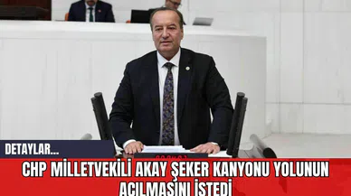 CHP Milletvekili Akay Şeker Kanyonu Yolunun Açılmasını İstedi