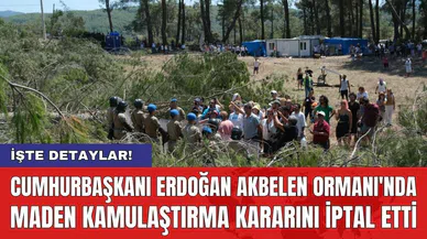 Cumhurbaşkanı Erdoğan Akbelen Ormanı'nda maden kamulaştırma kararını iptal etti